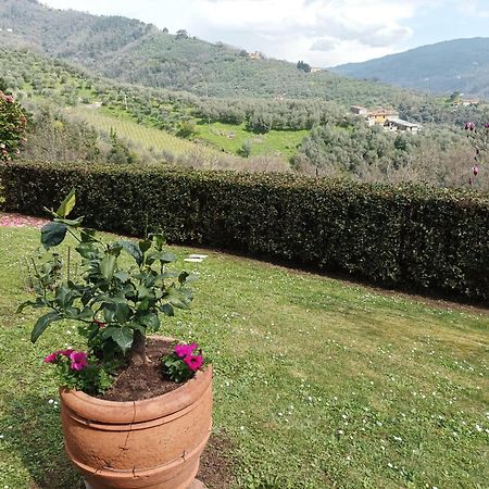 Villa Camelia Tuscany 페시아 외부 사진