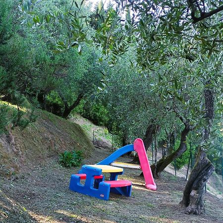 Villa Camelia Tuscany 페시아 외부 사진