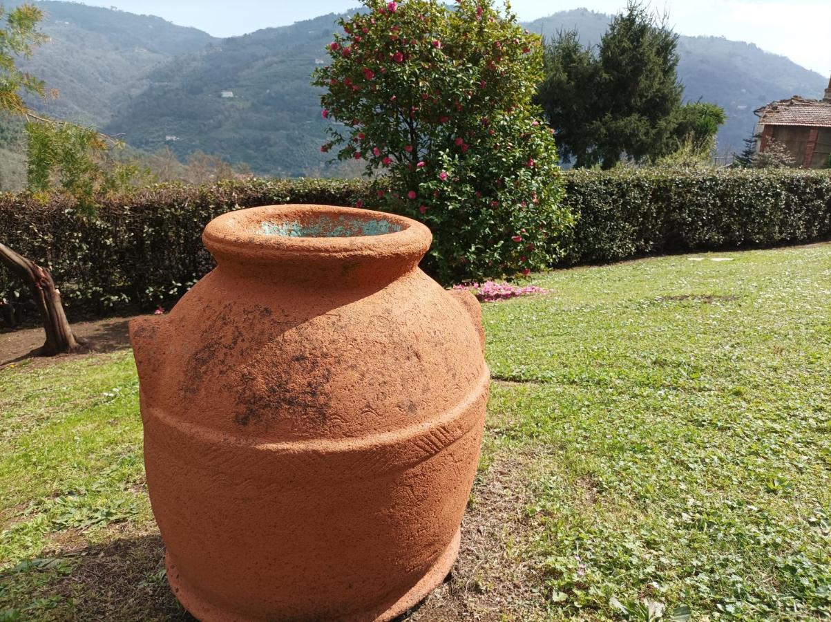 Villa Camelia Tuscany 페시아 외부 사진