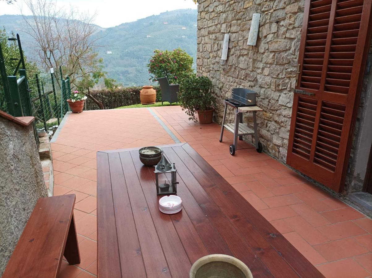 Villa Camelia Tuscany 페시아 외부 사진