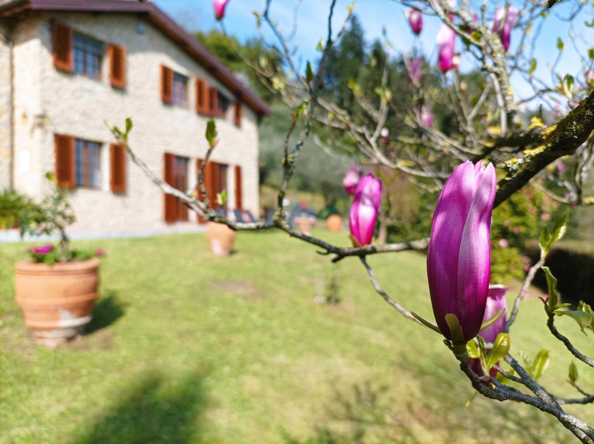 Villa Camelia Tuscany 페시아 외부 사진
