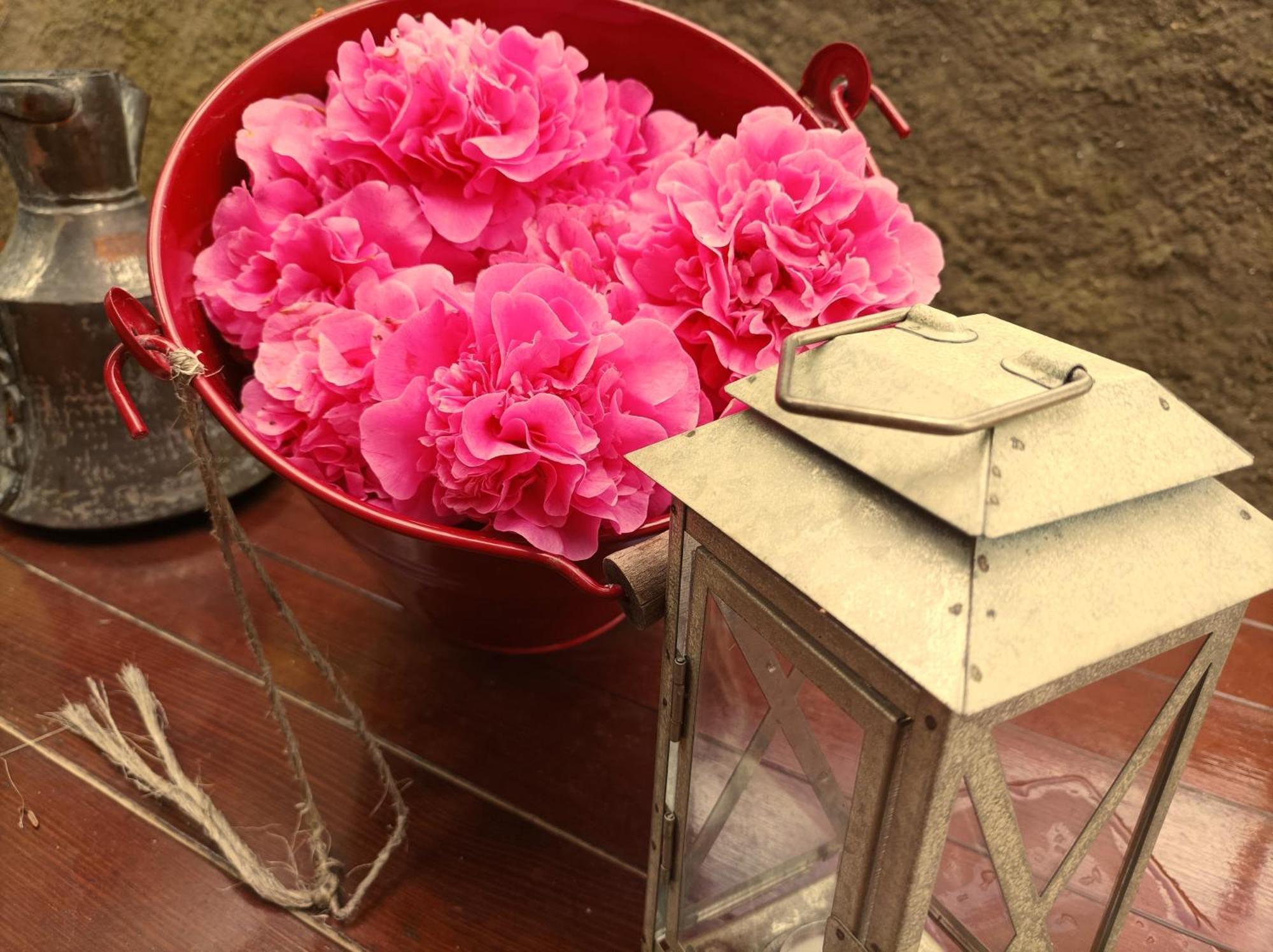 Villa Camelia Tuscany 페시아 외부 사진